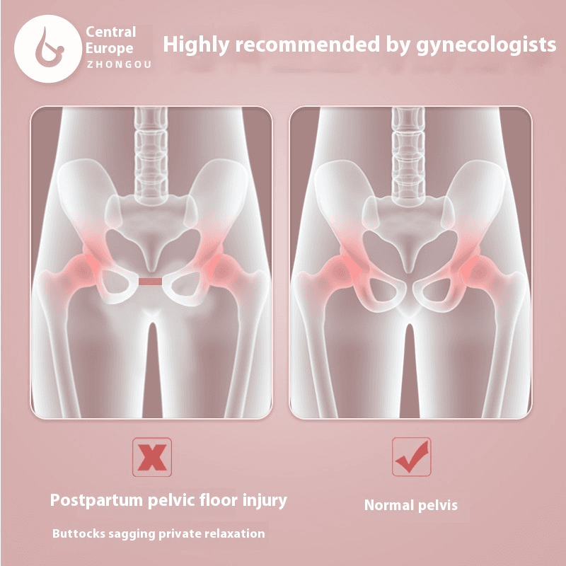 Pelvic Floor Muscle Trainer