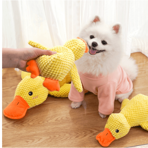 Calming Duck Toy